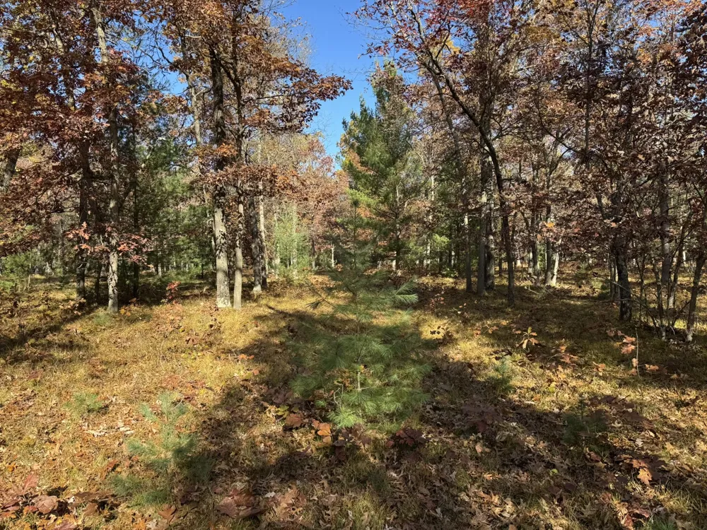 11 County Line Road Free Soil, MI 49411