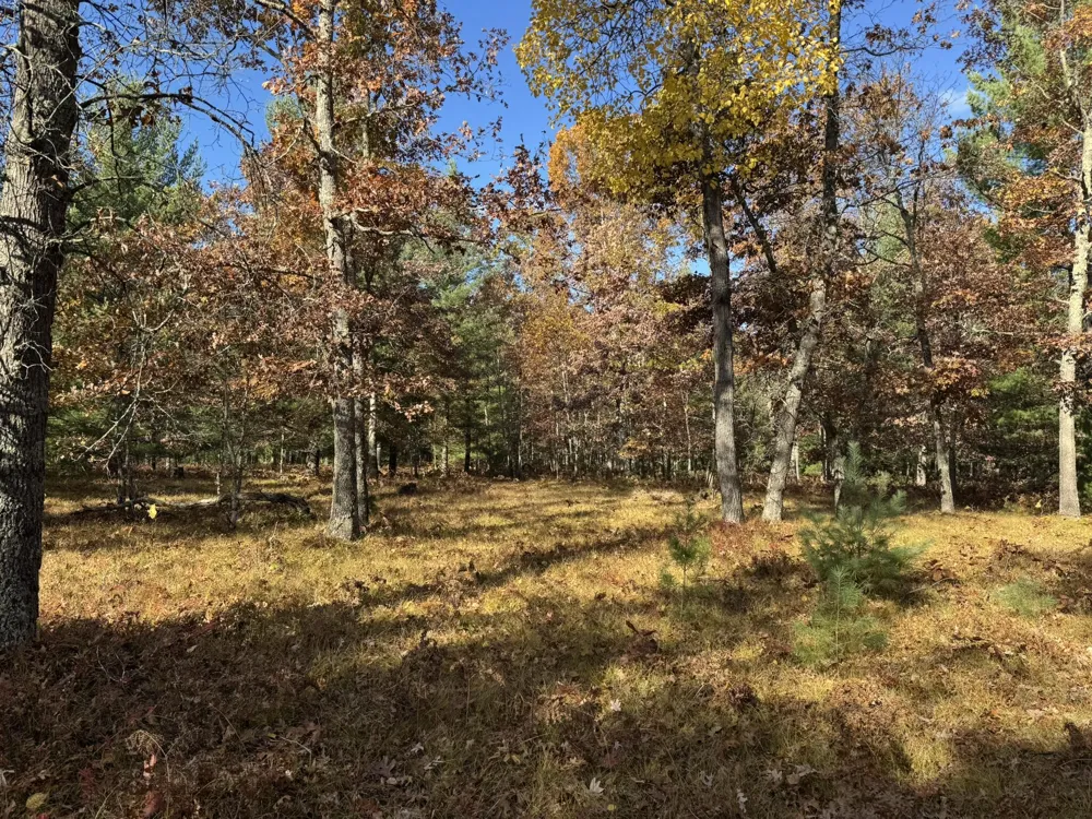 12 County Line Road Free Soil, MI 49411