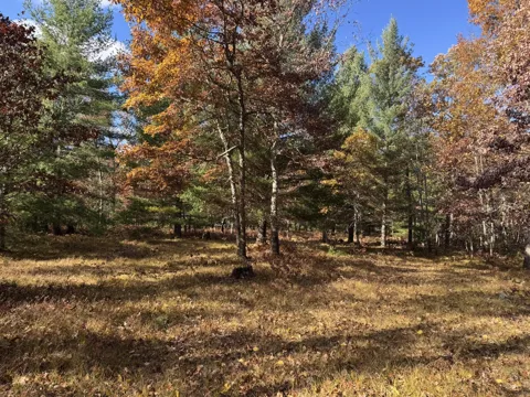 12 County Line Road