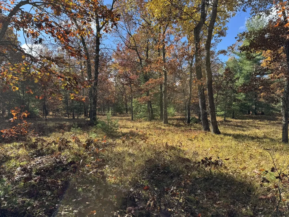 12 County Line Road Free Soil, MI 49411