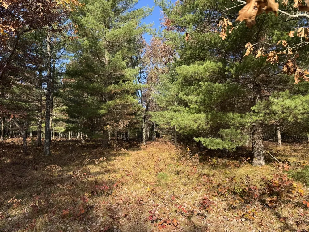13 County Line Road Free Soil, MI 49411