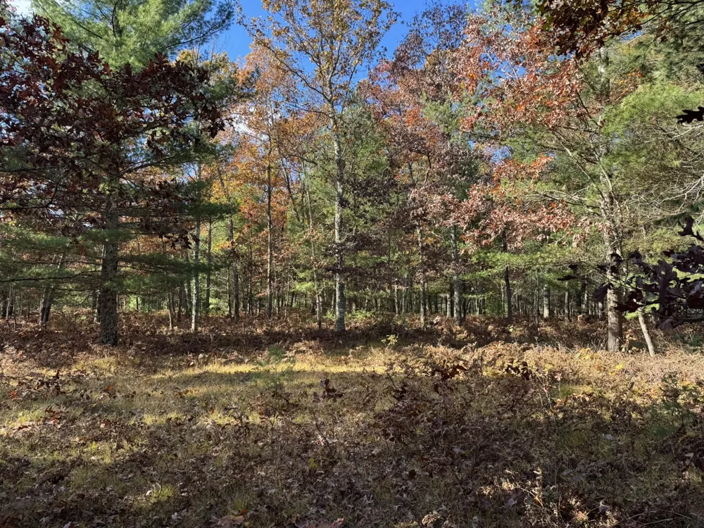 13 County Line Road Free Soil, MI 49411
