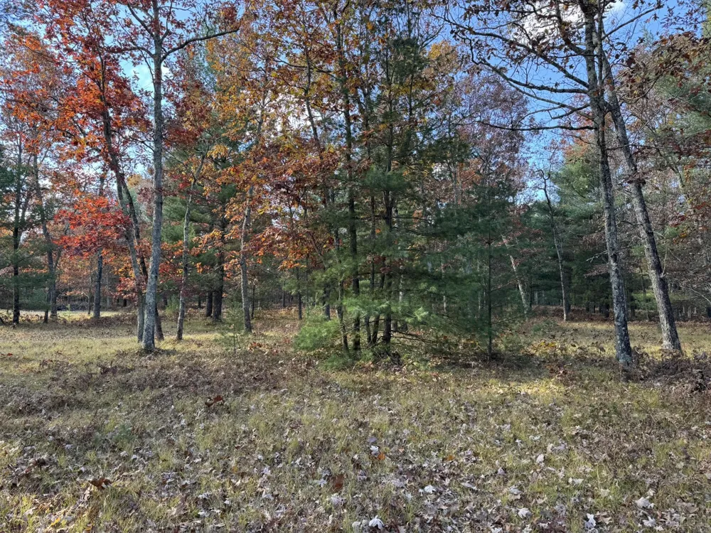 13 County Line Road Free Soil, MI 49411