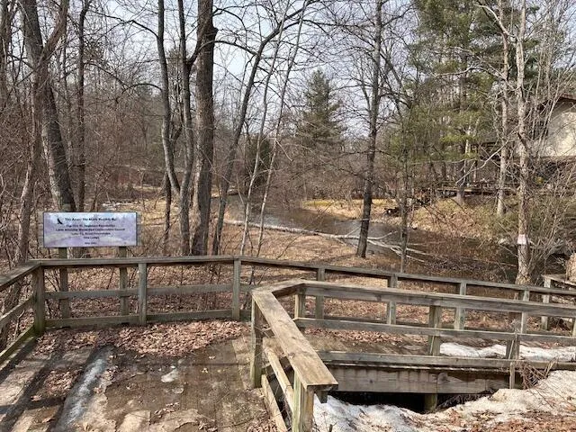 8034 Johnson Road Irons, MI 49644