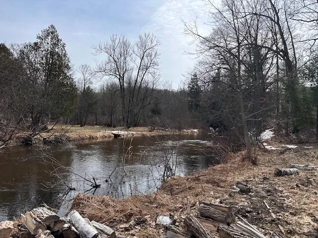 8034 Johnson Road Irons, MI 49644