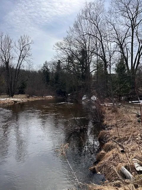 8034 Johnson Road Irons, MI 49644