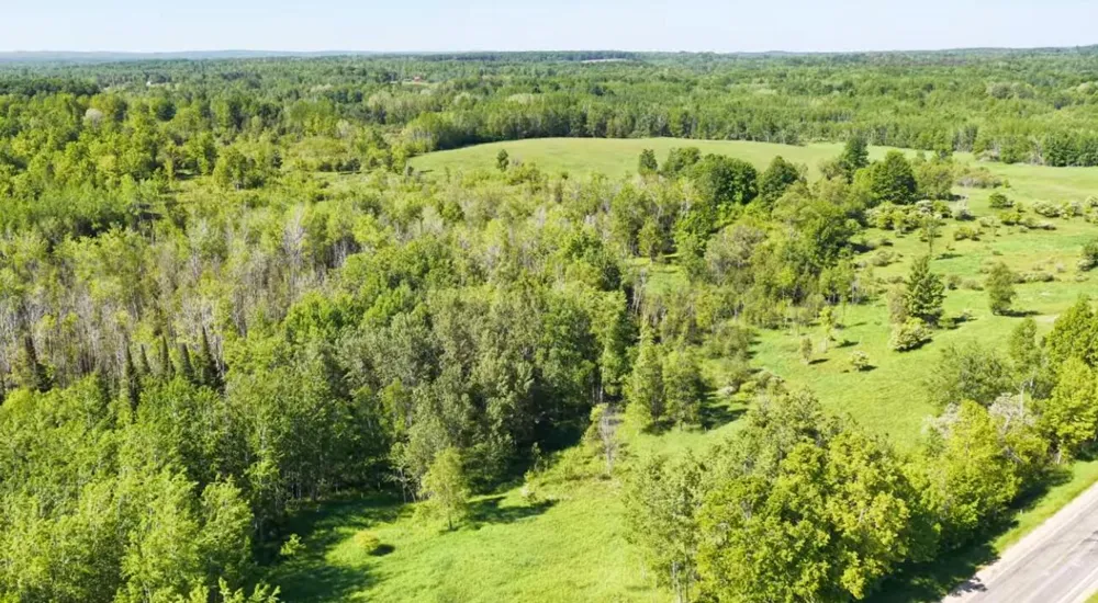 20 Mile Rd. Marion, MI 49665