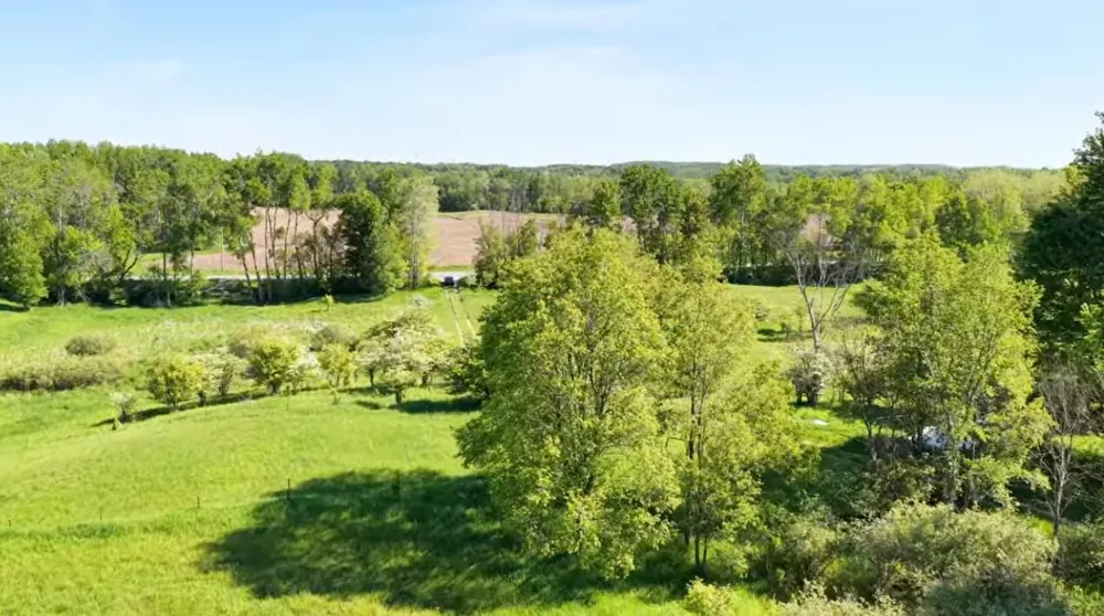20 Mile Rd. Marion, MI 49665