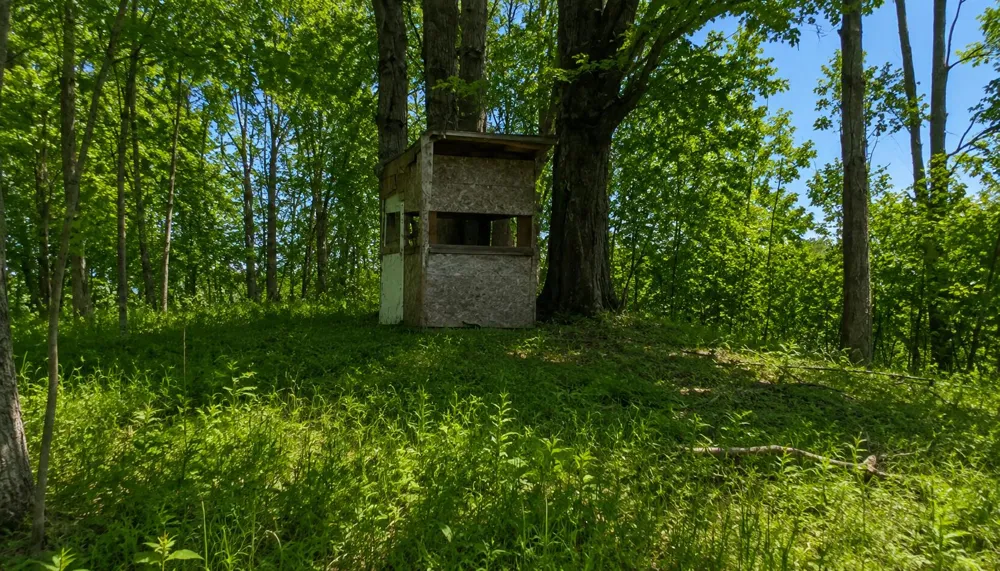 20 Mile Rd. Marion, MI 49665