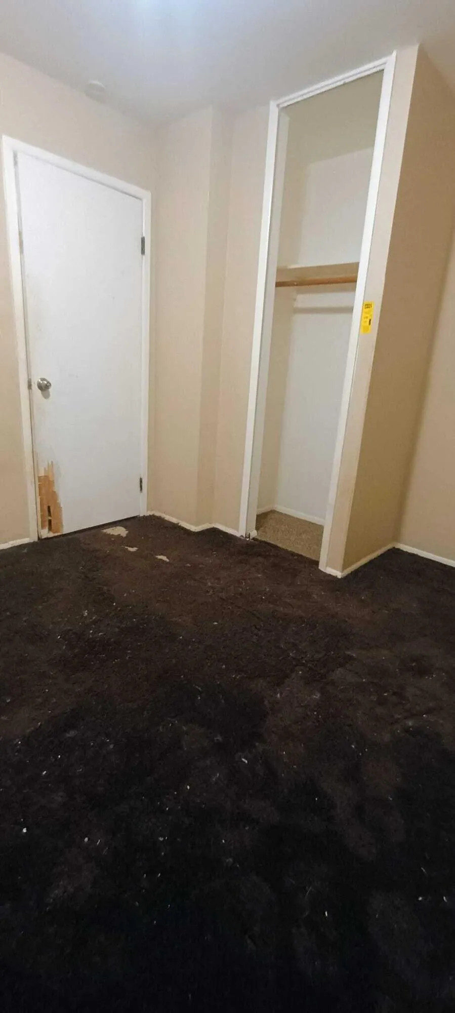 6121 Plainview Avenue Detroit, MI 48228
