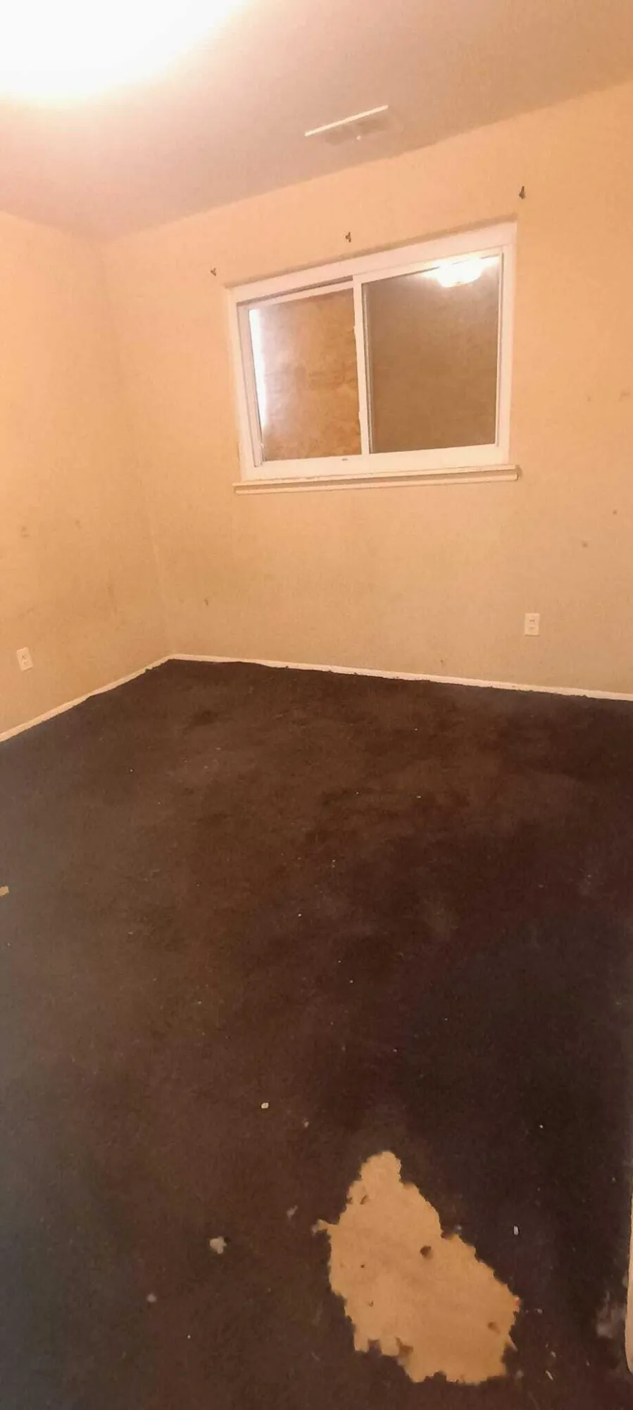 6121 Plainview Avenue Detroit, MI 48228