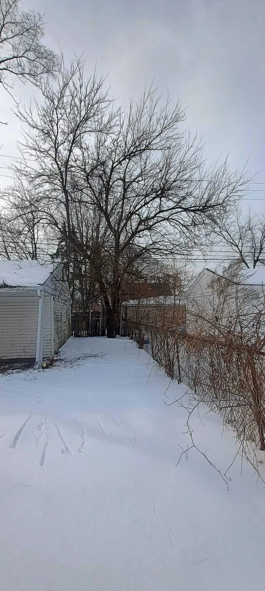 6121 Plainview Avenue Detroit, MI 48228