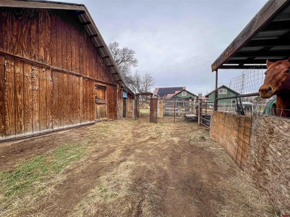 Address Not Shown Hesperus, CO 81326