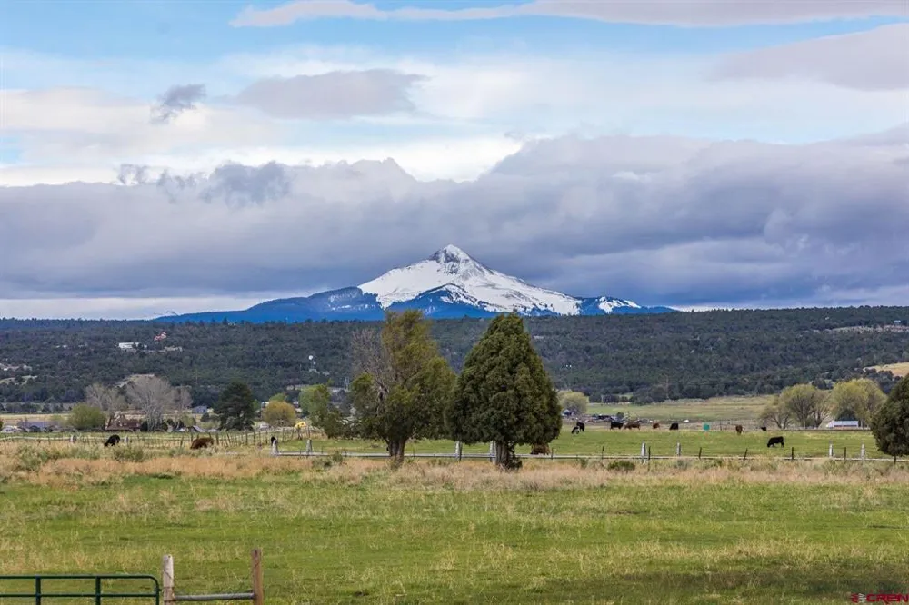 112 Buckboard Drive Norwood, CO 81423