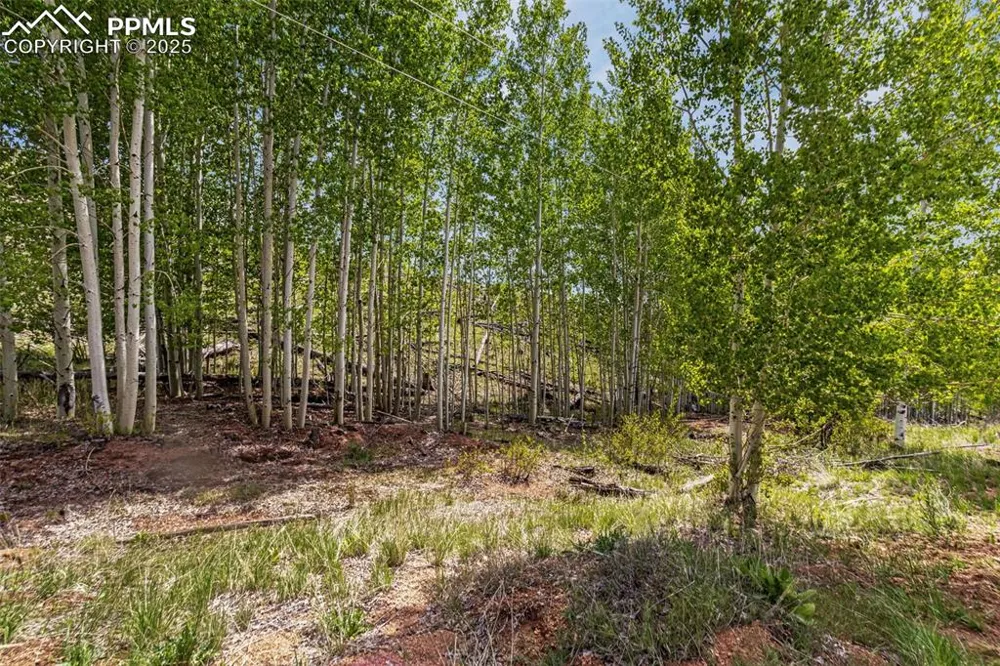 L1 B4 Columbine Circle Woodland Park, CO 80863