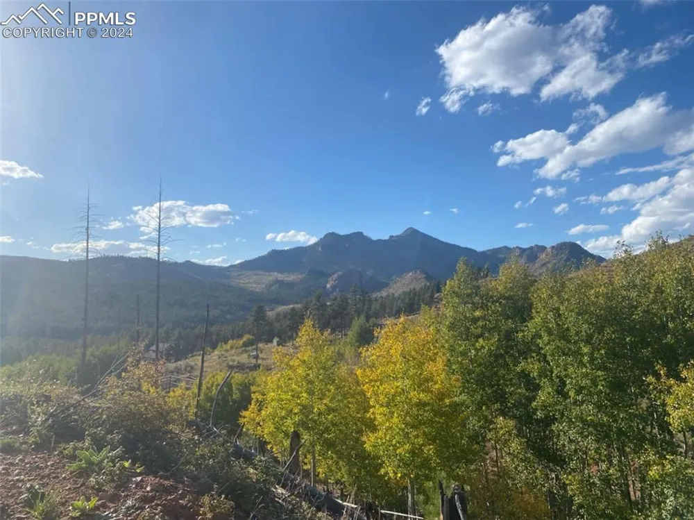 L1 B4 Columbine Circle Woodland Park, CO 80863