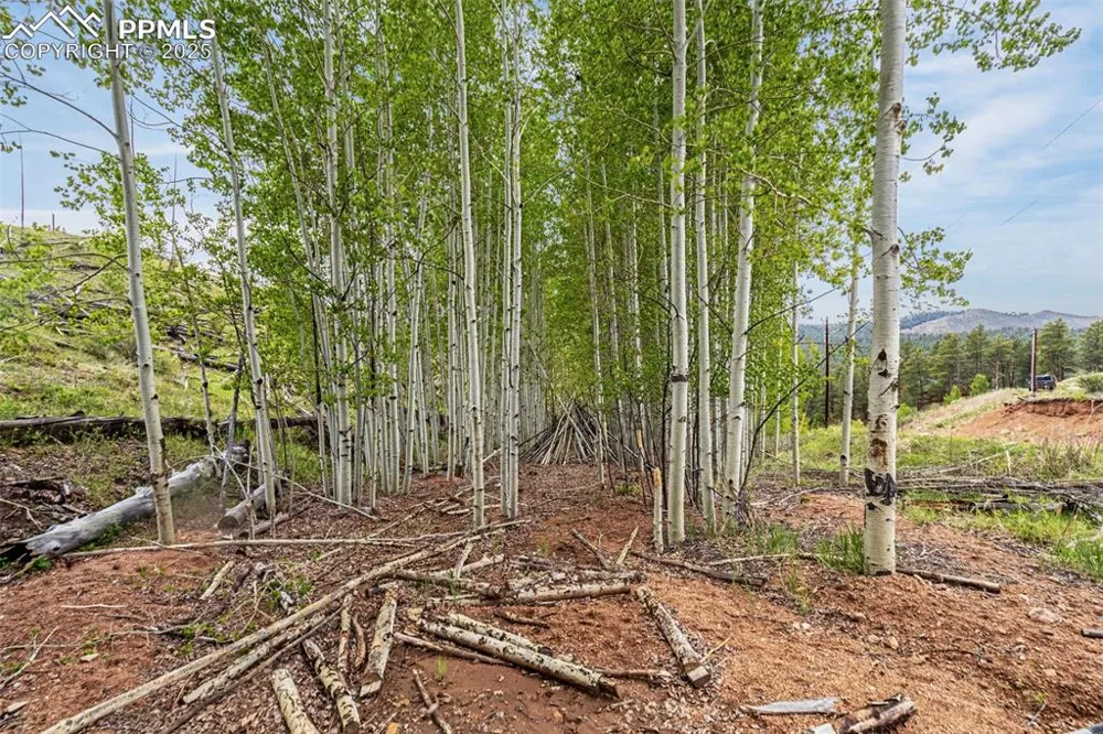 L1 B4 Columbine Circle Woodland Park, CO 80863