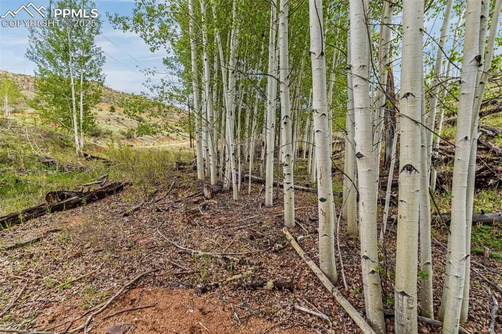 L1 B4 Columbine Circle Woodland Park, CO 80863