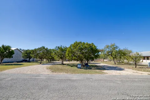 38 mountain laurel
