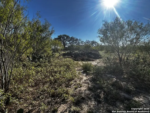 TBD County Road 777 Devine, TX 78016