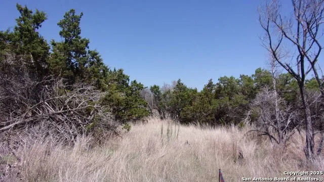 407 E headwaters ranch Kendalia, TX 78027