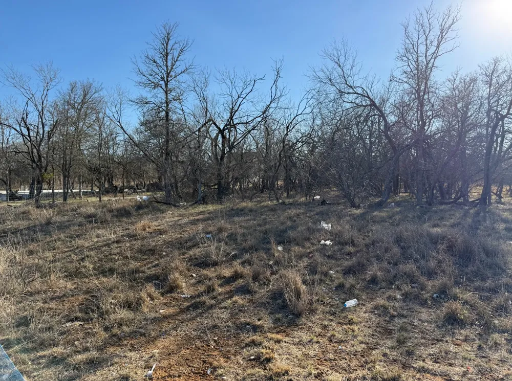 133 Chandler Cove Cedar Creek, TX 78612