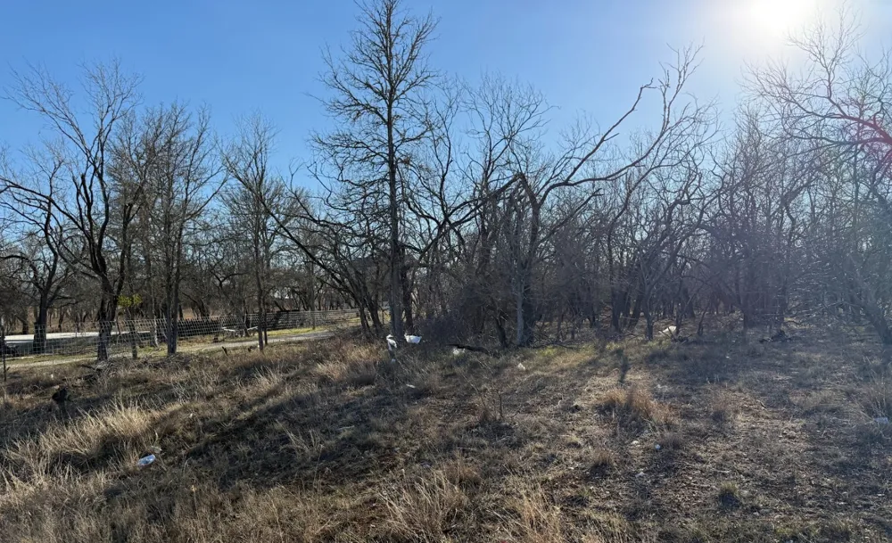133 Chandler Cove Cedar Creek, TX 78612
