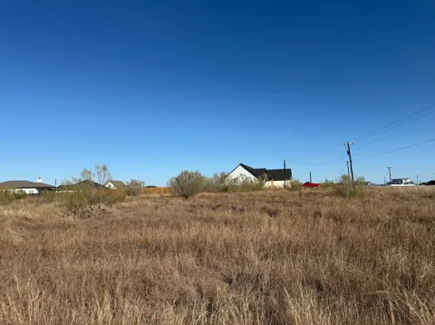 103 Desperado Loop