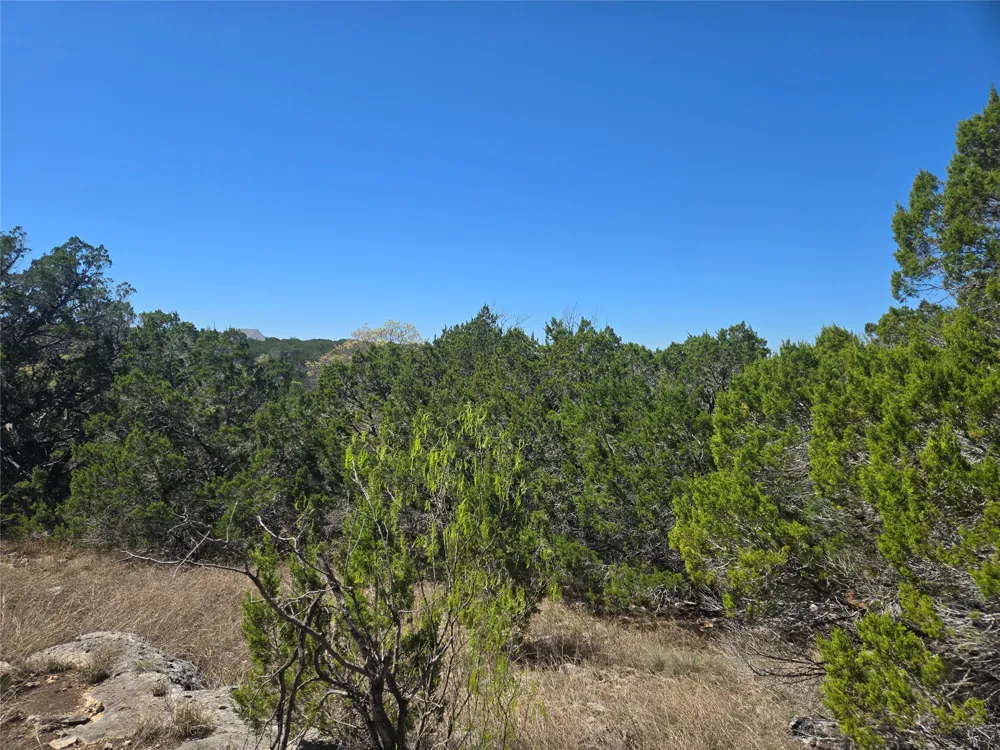 358 Balcones Ridgeway Way Bertram, TX 78605