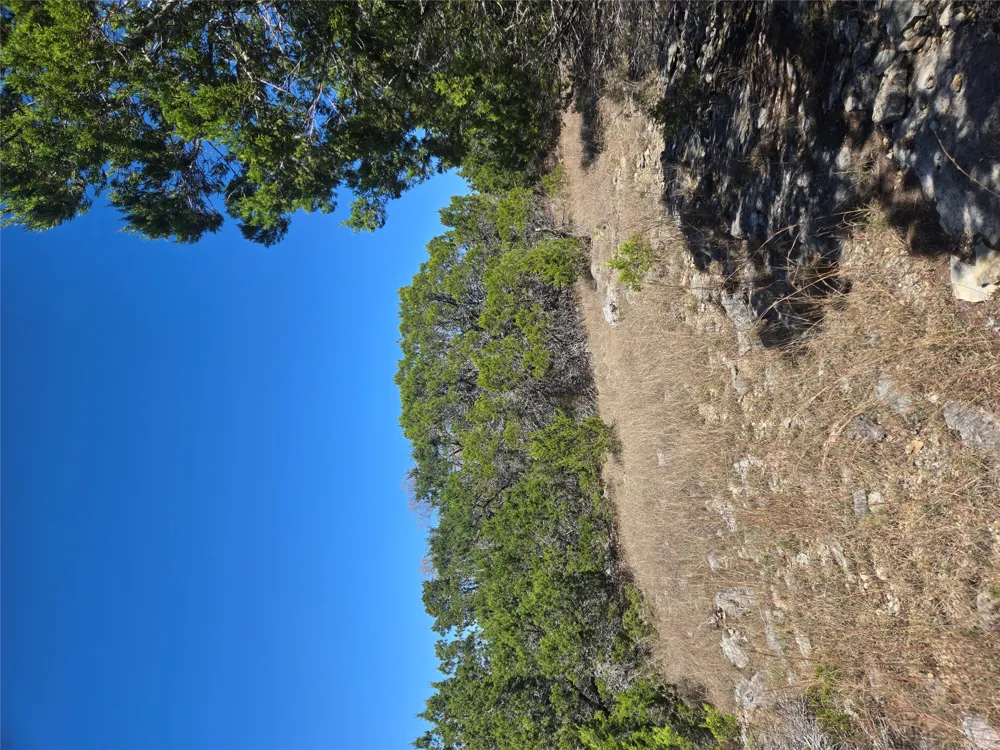 358 Balcones Ridgeway Way Bertram, TX 78605