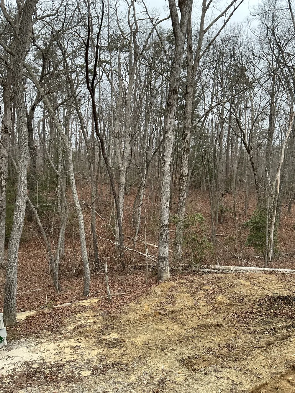 549 Dollar Dr Altamont, TN 37301
