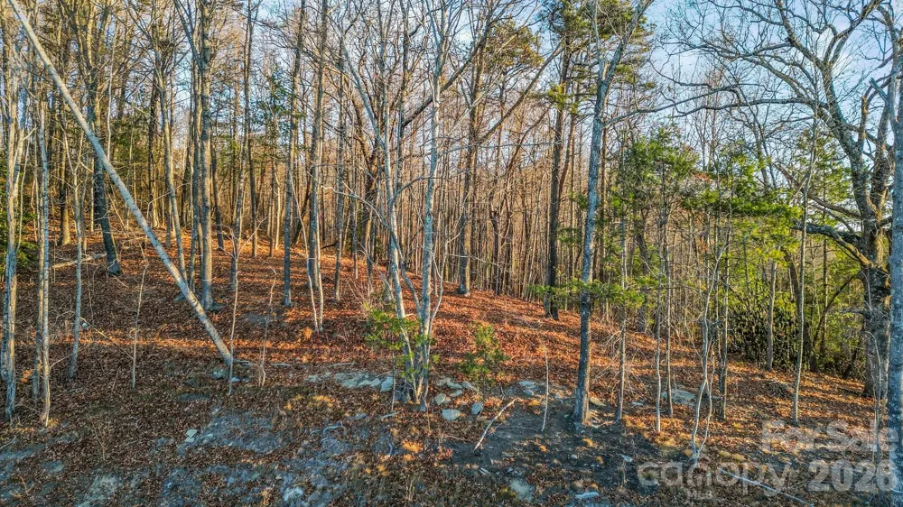 99 Spring Song Lane #9 Fletcher, NC 28732