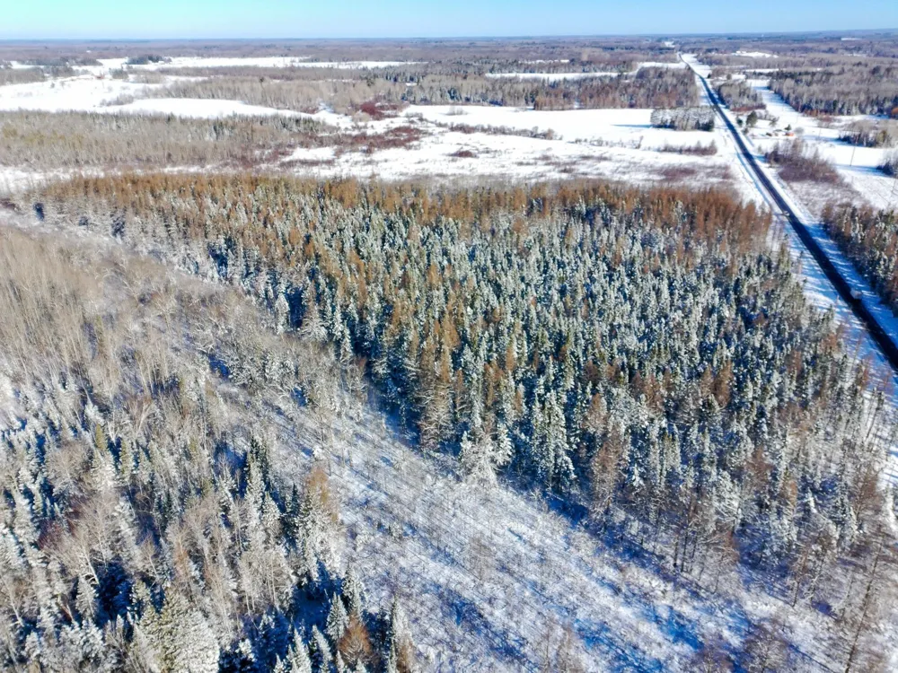 XXXX Hwy 73 Cromwell, MN 55726