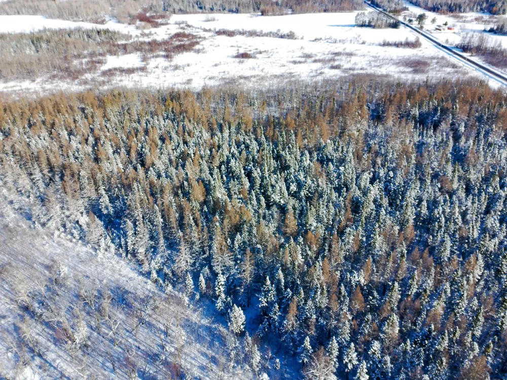 XXXX Hwy 73 Cromwell, MN 55726