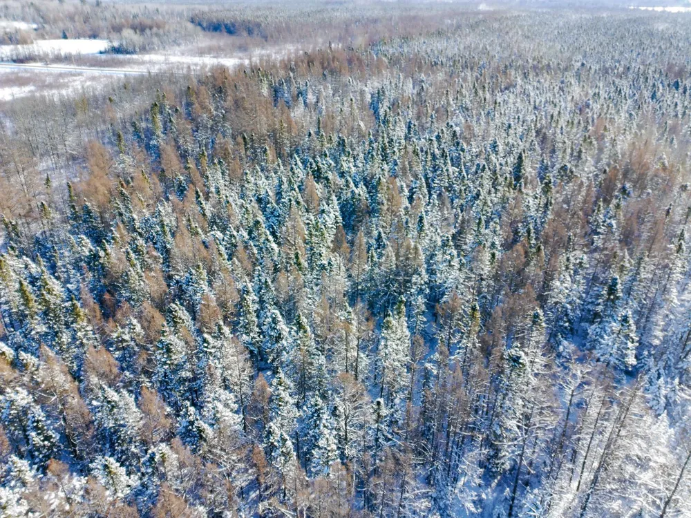 XXXX Hwy 73 Cromwell, MN 55726