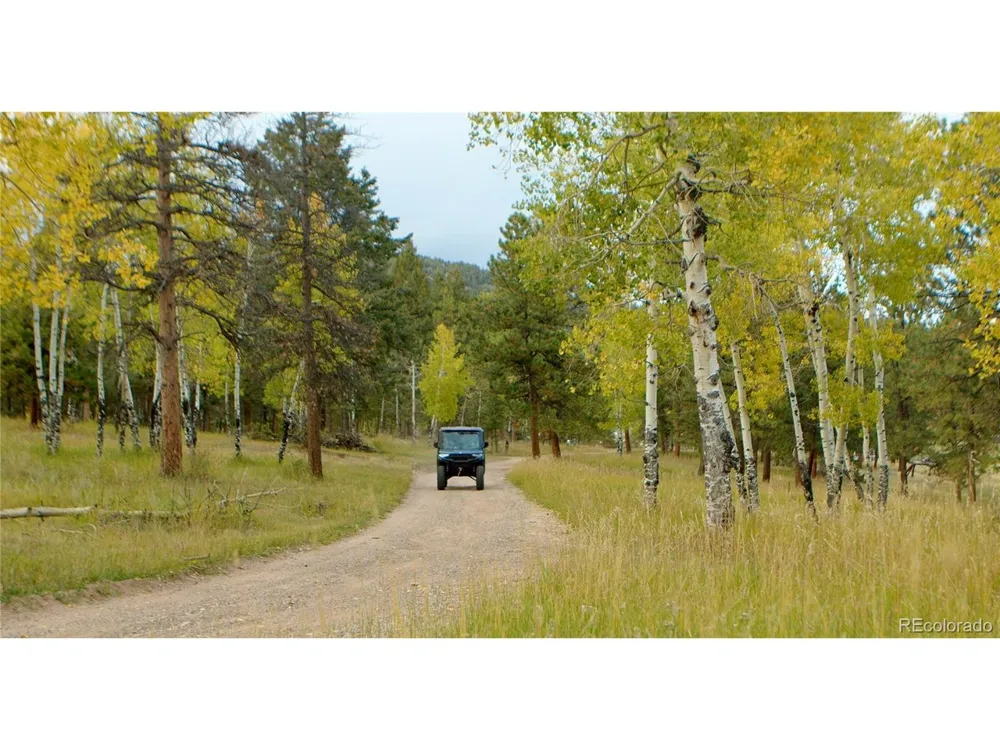 12464 S US Hwy 285 Conifer, CO 80433