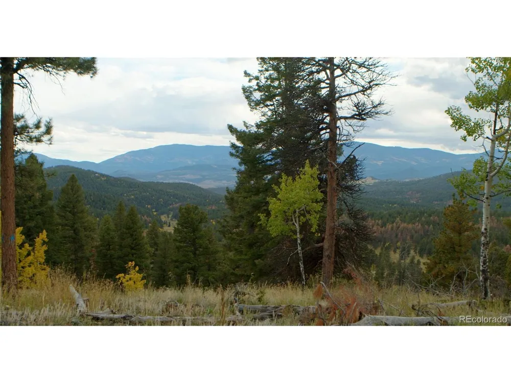 12464 S US Hwy 285 Conifer, CO 80433