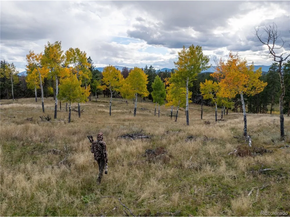 12464 S US Hwy 285 Conifer, CO 80433