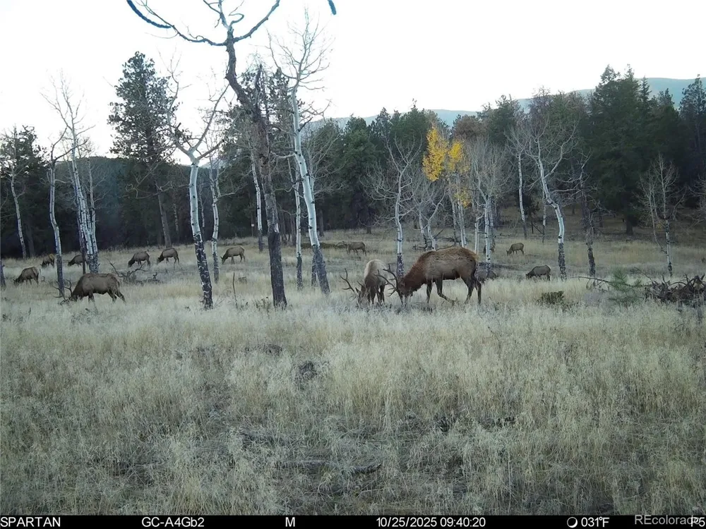 12464 S US Hwy 285 Conifer, CO 80433
