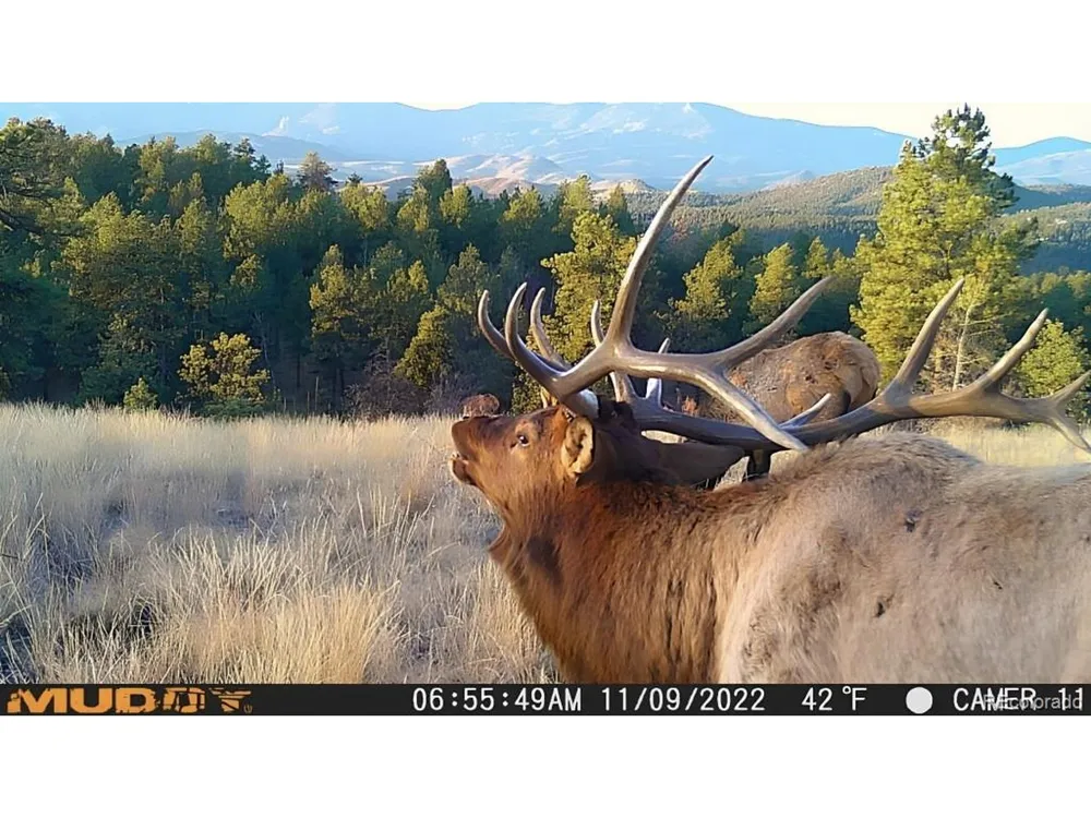 12464 S US Hwy 285 Conifer, CO 80433