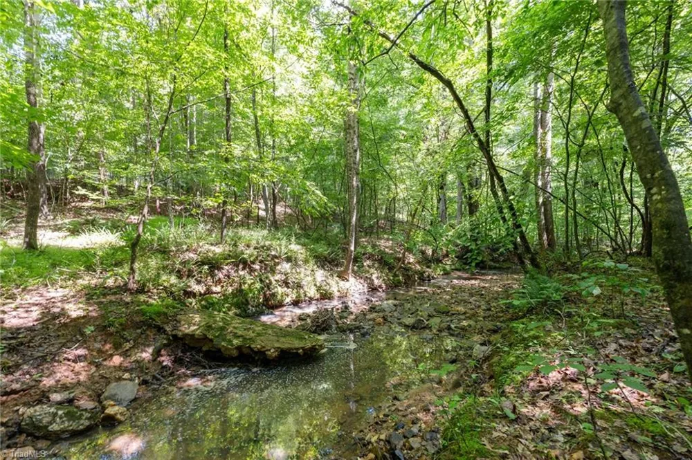 6910 Long Meadow Lane Whitsett, NC 27377