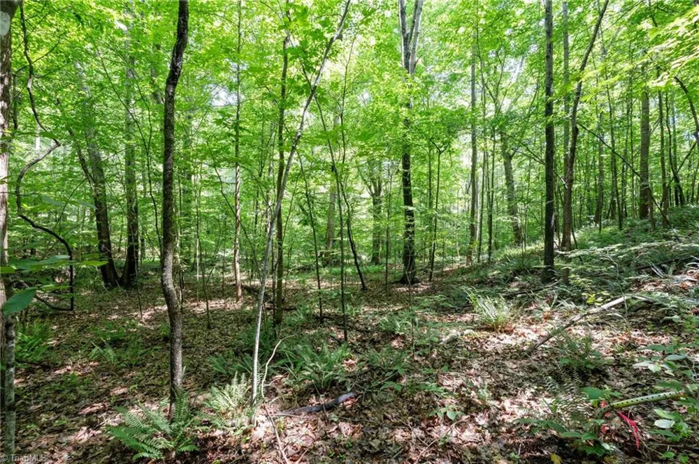 6910 Long Meadow Lane Whitsett, NC 27377