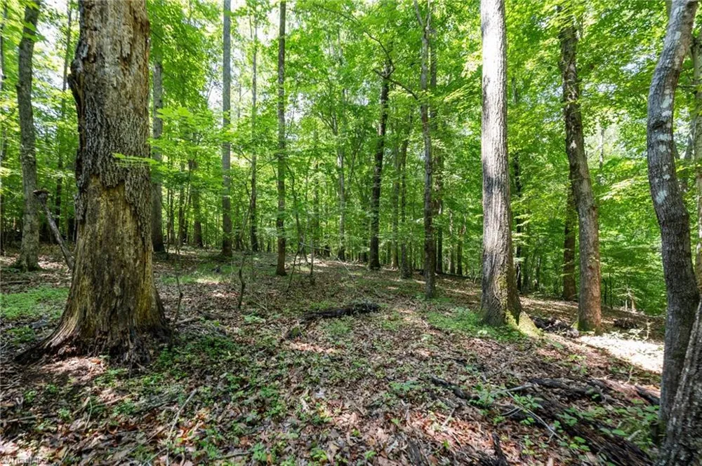 6910 Long Meadow Lane Whitsett, NC 27377