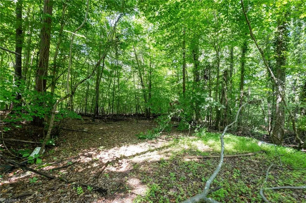 6910 Long Meadow Lane Whitsett, NC 27377