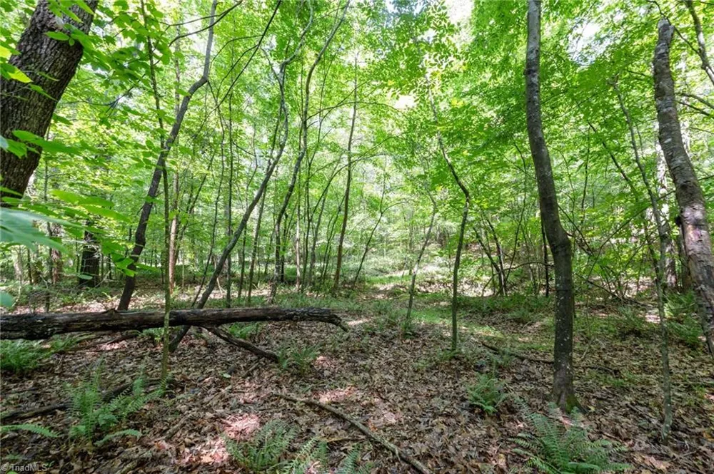 6910 Long Meadow Lane Whitsett, NC 27377