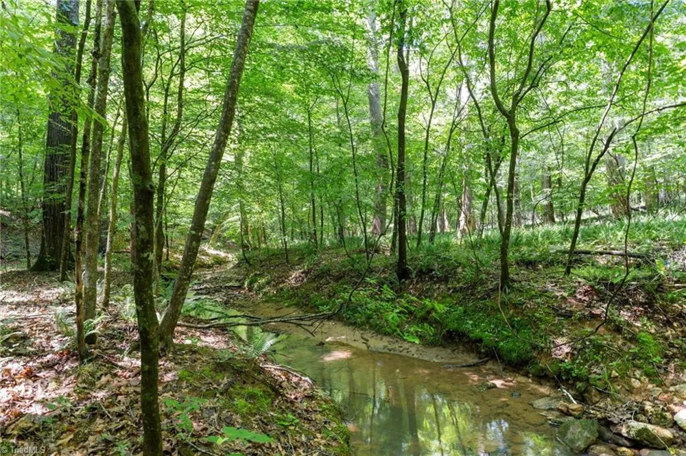 6910 Long Meadow Lane Whitsett, NC 27377