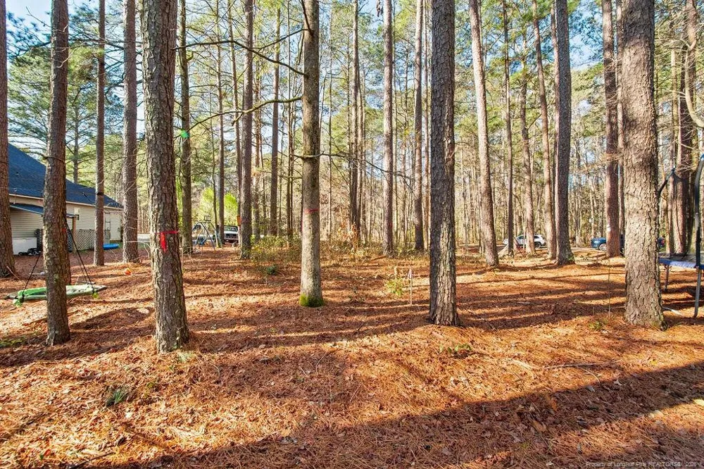 797 Daphne Lane Vass, NC 28394