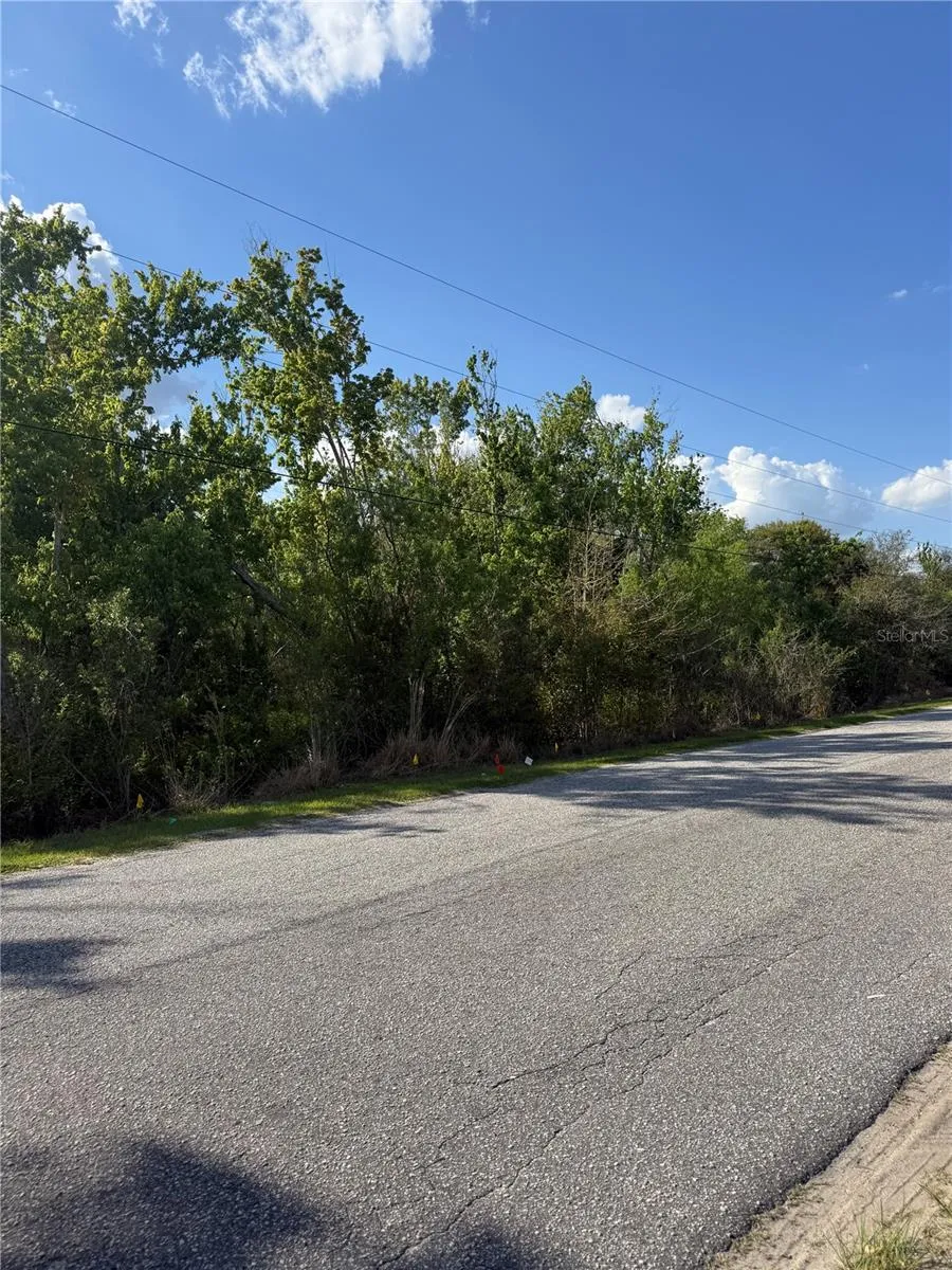 GADSON STREET Groveland, FL 34736