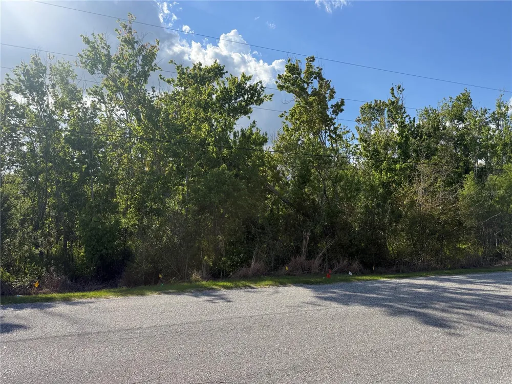 GADSON STREET Groveland, FL 34736