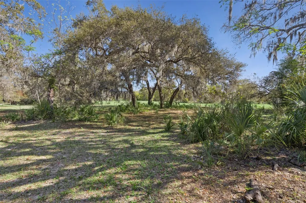 LOT 3 OAK HOLLOW Oviedo, FL 32765